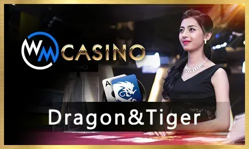 How to Play BMW55 Online Bingo: A Step-by-Step Guide